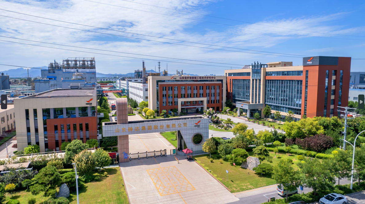 LD（中国）集团荣登“2022石油和化工企业销售收入500强”榜单