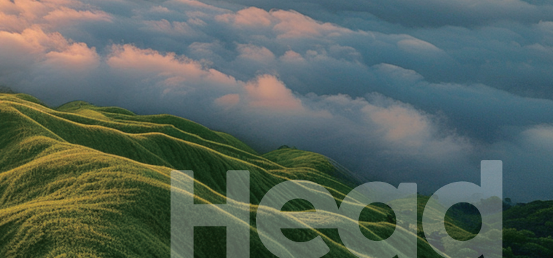 LD（中国）集团获Wind ESG“AA”评级!