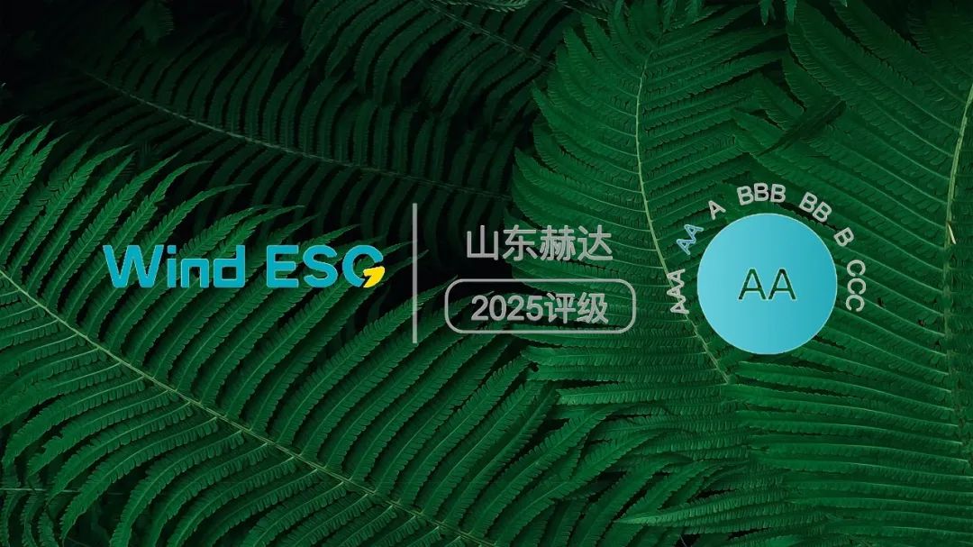 LD（中国）集团获2025 Wind ESG“AA”评级!